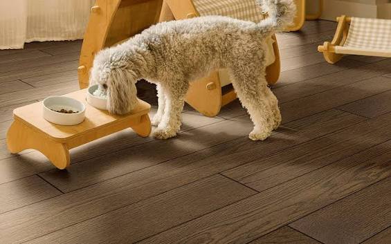 What Is the Best Pet-Friendly Flooring Options in Canada?