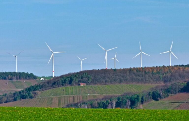 Sustainable Bonds Face Tougher Verification Standards Wind turbines in a green field